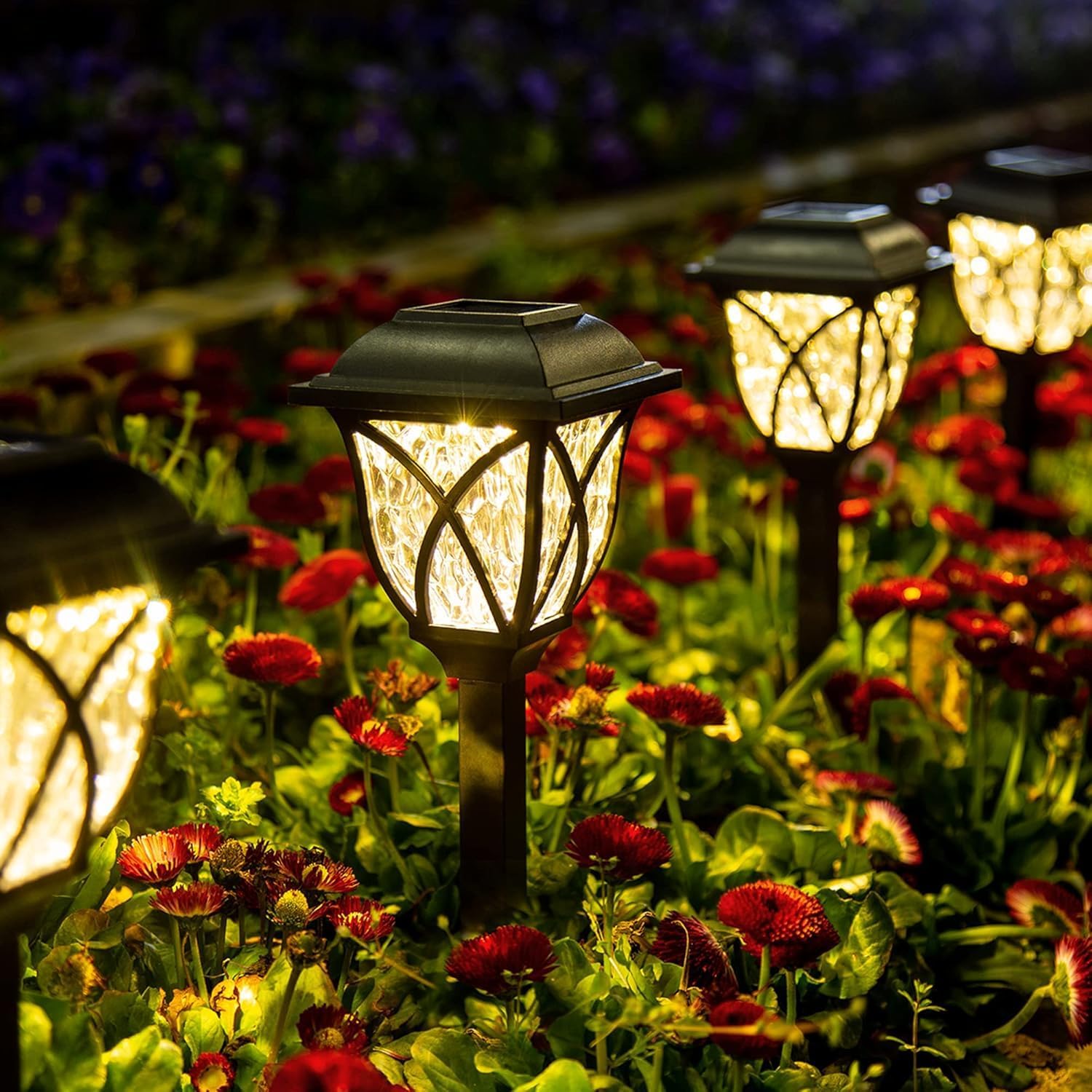 cheap curb appeal projects solar lights